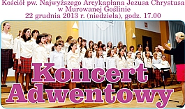 adentowy banerek