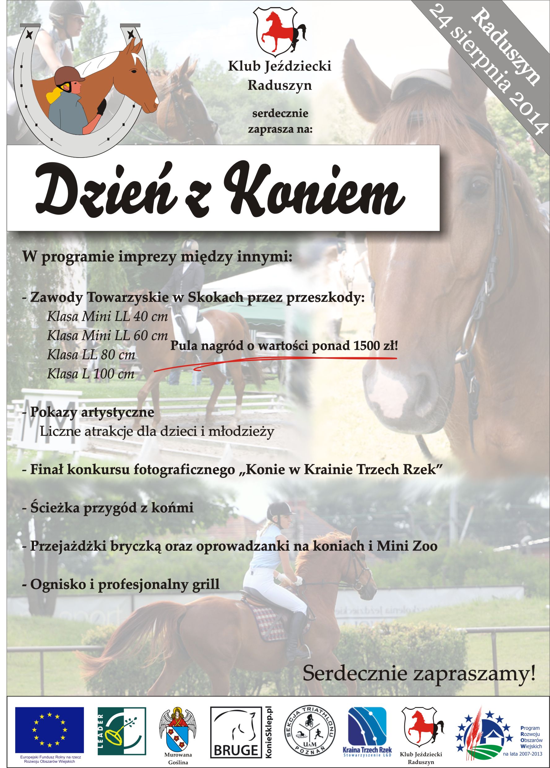 dzień z koniem