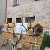 IMG_7914-1