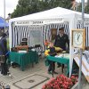 IMG_7931-1