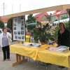 IMG_7937-1