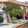 IMG_7938-1