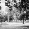 park krajobraz XIX