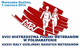 zajawka graficzna półmaraton